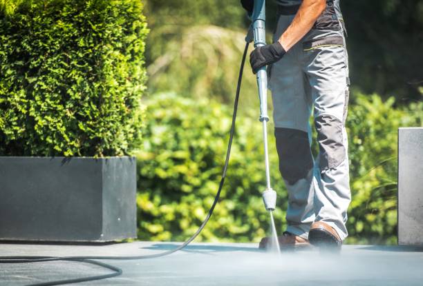 Best Driveway Pressure Washing  in Panhandle, TX